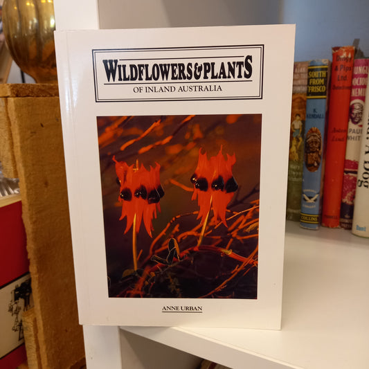 Wildflowers & plants of Central Australia by Anne Urban-book-Tilbrook and Co