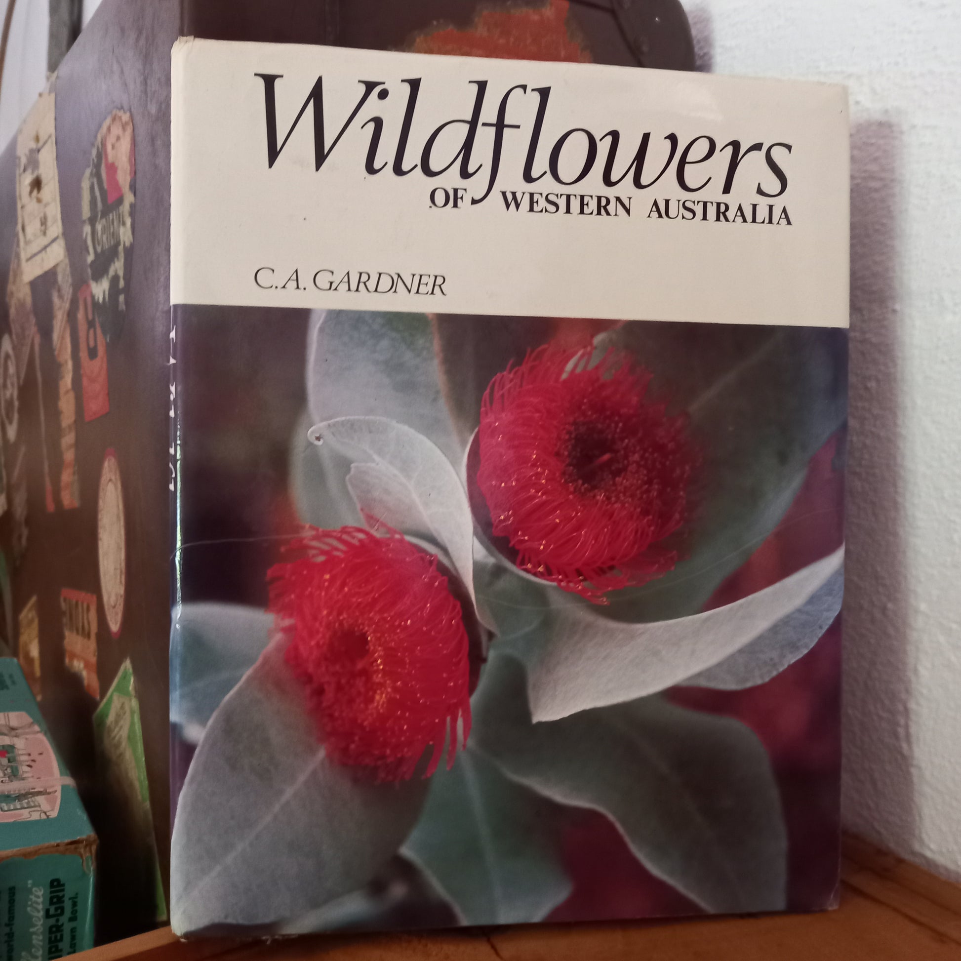 Wildflowers of Western Australia by C. A. Gardner-Book-Tilbrook and Co