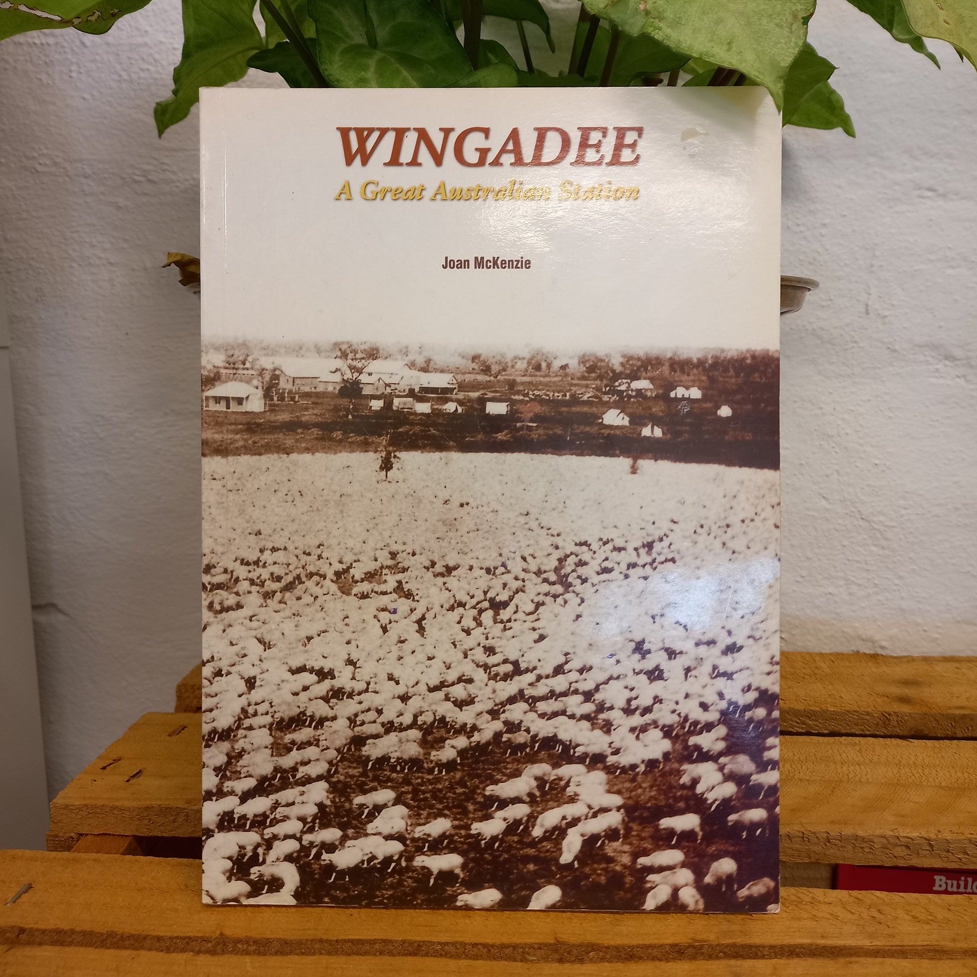 Wingadee: a great Australian Station by Joan McKenzie-Book-Tilbrook and Co