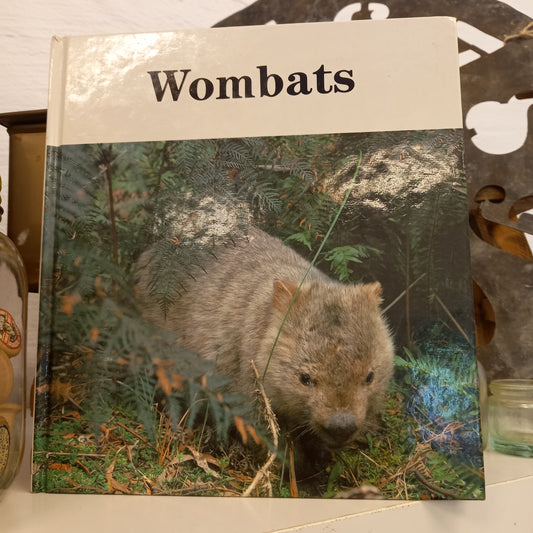 Wombats by Barbara Triggs-Tilbrook and Co