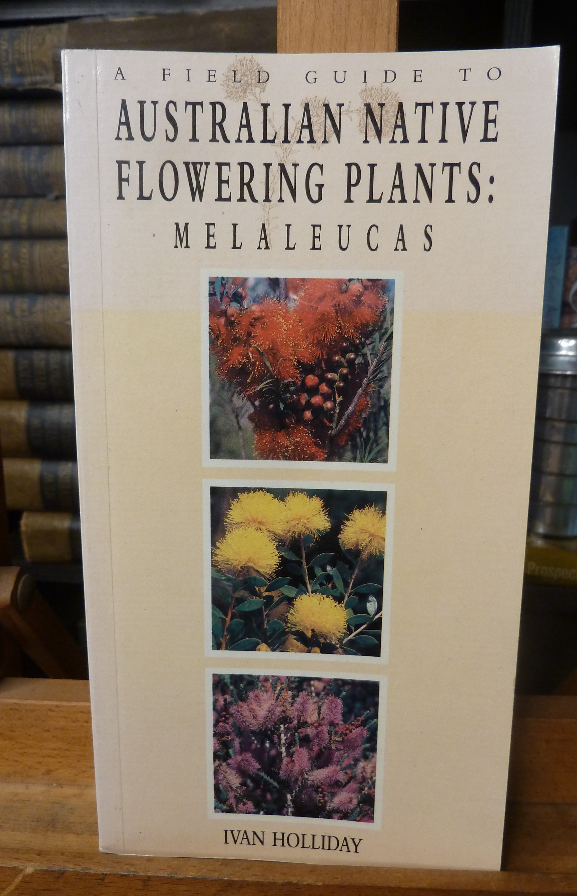 A field guide to Australian native flowering plants : Melaleucas by Ivan Holliday-Books-Tilbrook and Co