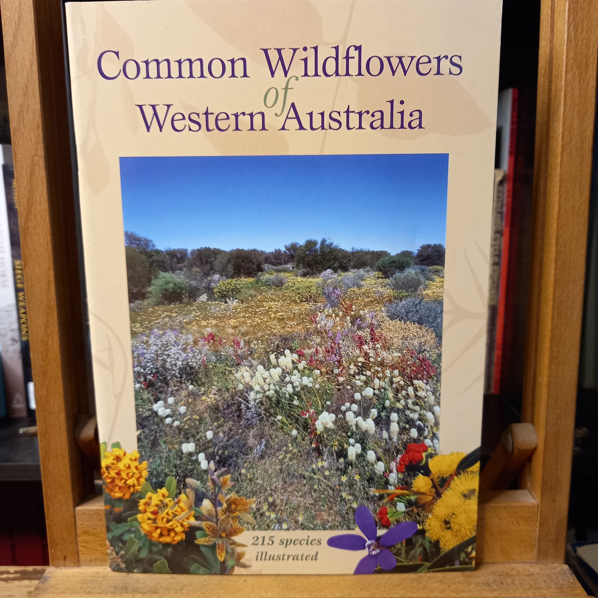 Common Wildflowers of Western Australia-Book-Tilbrook and Co