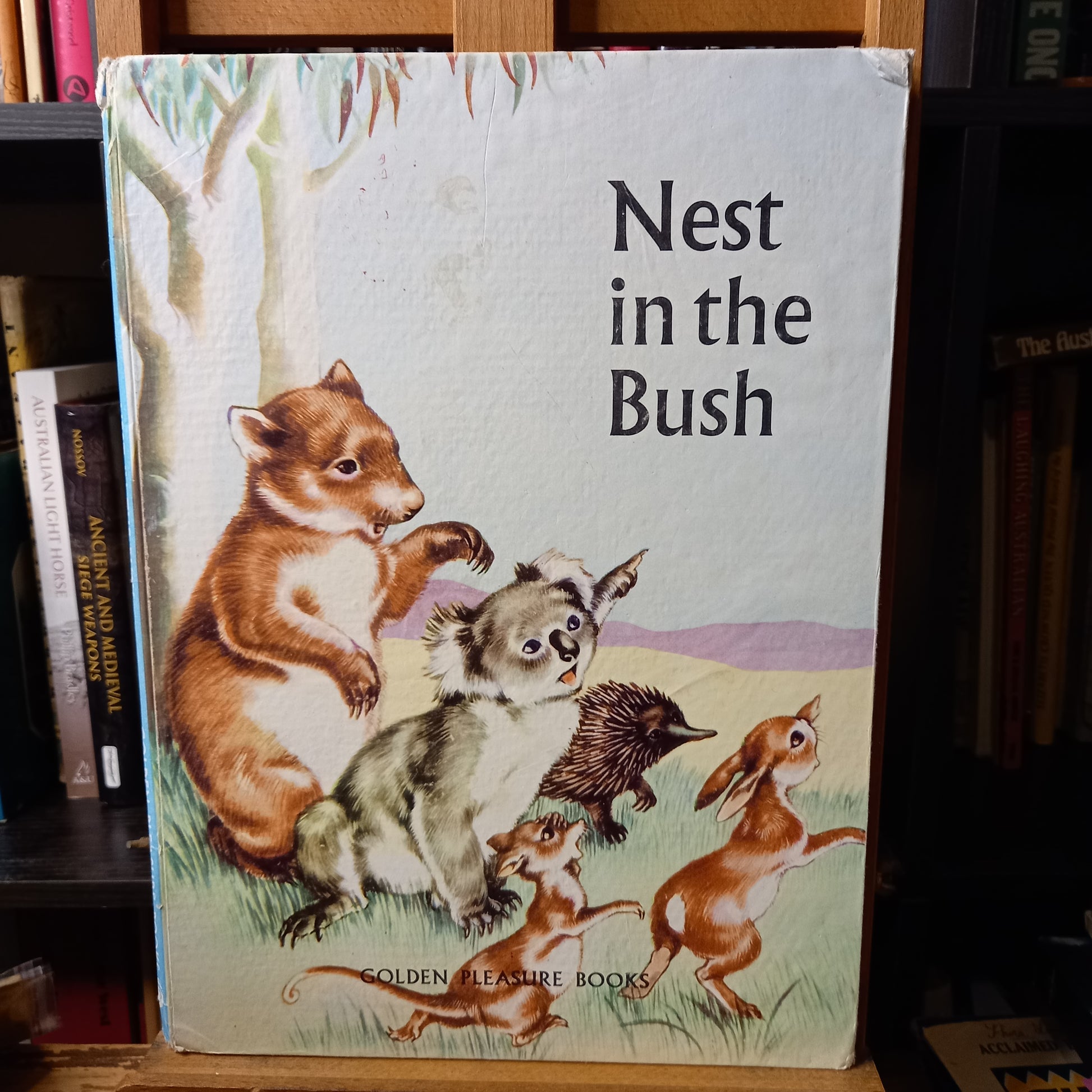 Nest in the Bush Written and Illustrated by Nan Fullarton-Book-Tilbrook and Co