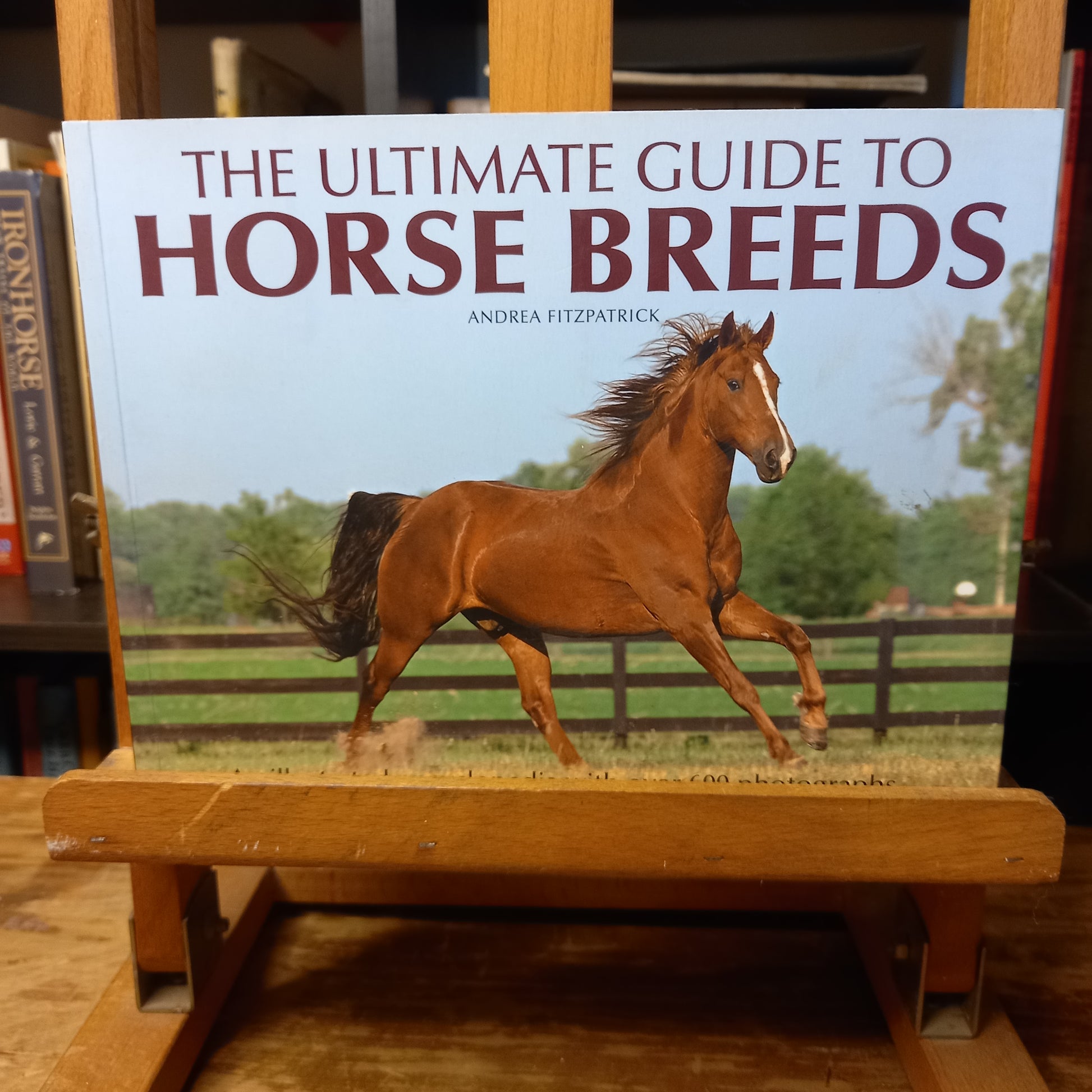 The Ultimate Guide to Horse Breeds by Andrea Fitzpatrick-Book-Tilbrook and Co