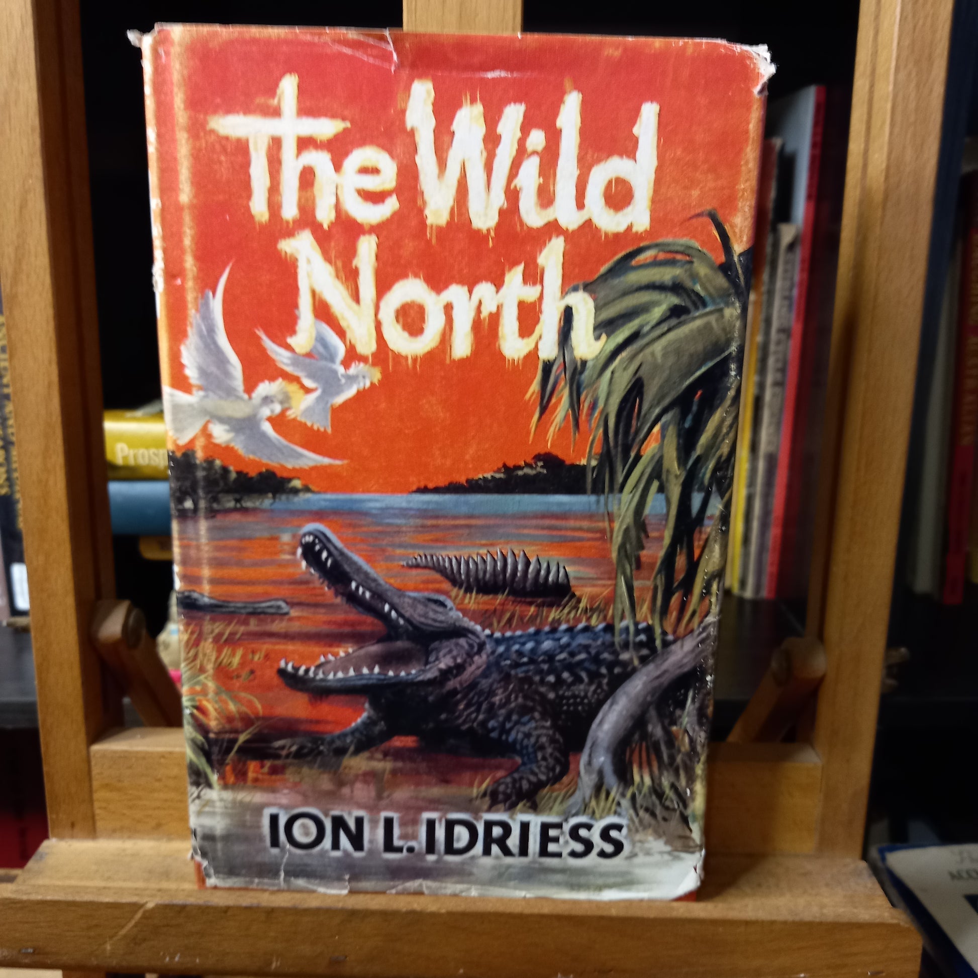 The Wild North by Ion L. Idriess-Book-Tilbrook and Co