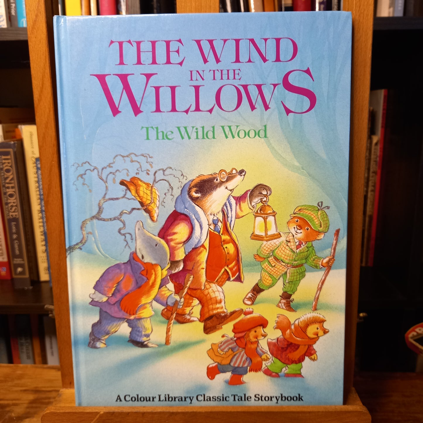 The Wind in the Willows - The Wild Wood/ Re-told by Anne McKie-Book-Tilbrook and Co